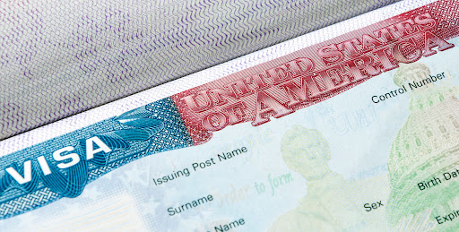 Bailey Immigration - Visual