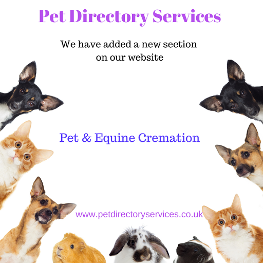 Pet Directory Services - Visual
