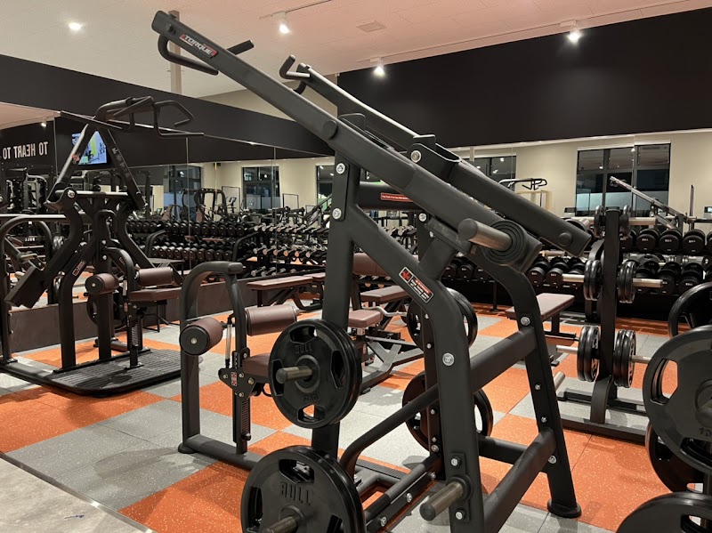 フィットイージー 徳島石井店