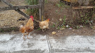 Photos of Rancho Costero