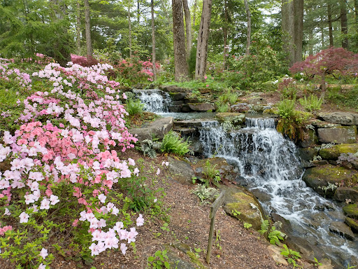 Azalea Path - Visual