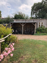 Photo n°4 de Les Chambres d'Hôtes de Bordustard à Le Palais (Chambre d'hôtes)