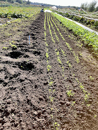 Photo n°16 de La Pousse Tranquille à Trizay (Ferme bio)