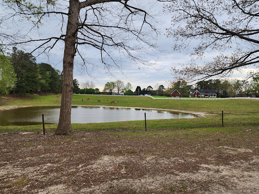Rock Ridge Campground Gallery - United States