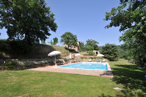 Il Polivere - Visual