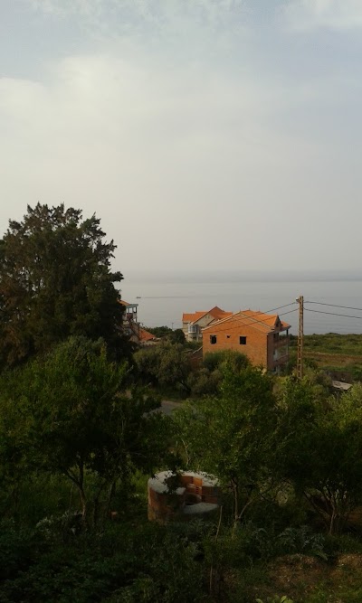 Photos of Caf&eacute; Chez Moris