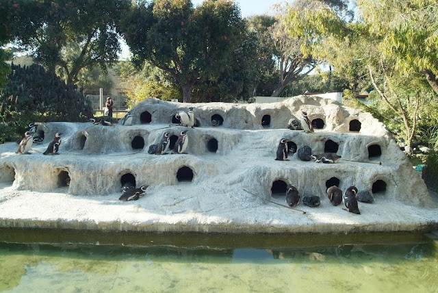 San Francisco Zoo