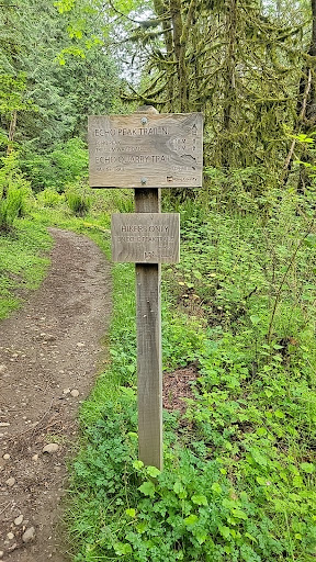 Echo Quarry Trail - Visual