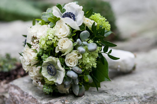 Das Blumenhaus, Friso Siliakus - Thumbnail