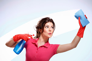 Photo n°1 de OMIMO à Lieusaint (Service de ménage)