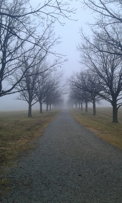 Photos of Cedar Crest