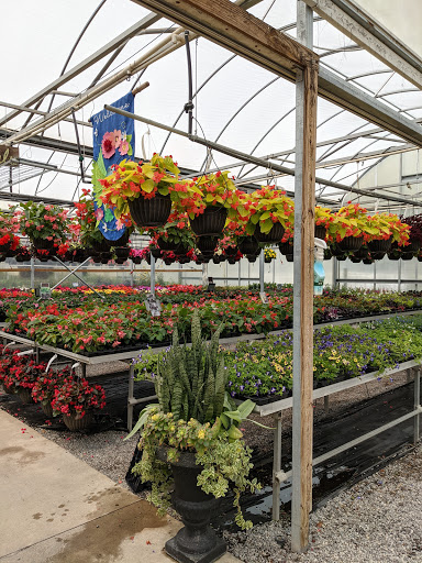 Signal Mountain Nursery - Thumbnail