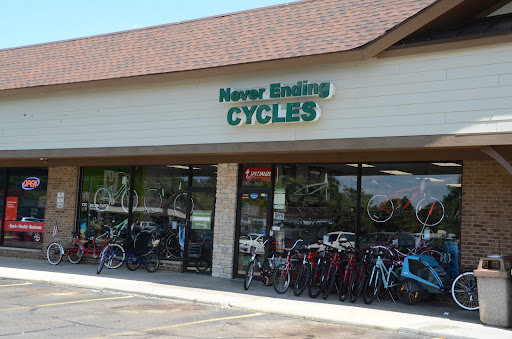 Never Ending Cycles - Visual