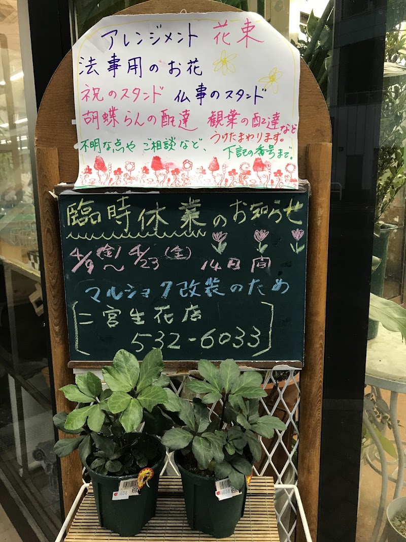 プチフルールピッコロ