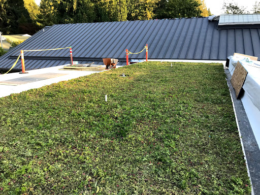 Element Smart Roofing - Visual