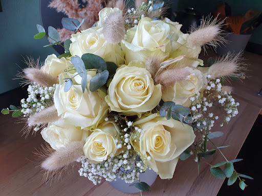 Amersflora - Visual