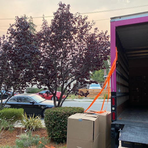Magenta Moving Gallery - United States