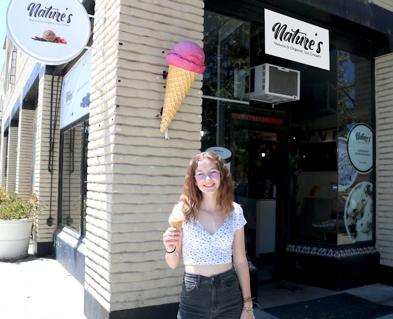 Nature's Organic Ice Cream — photo 4