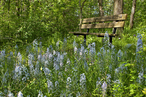 Prophetstown Fen Nature Preserve Gallery - United States