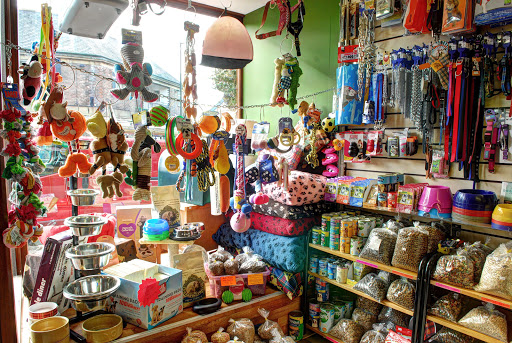 Ivegate Pet Shop - Thumbnail