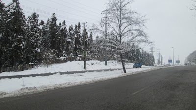 Photos of پارک جنگلی هلومسر