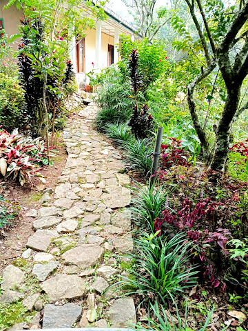 Bambarakanda Holiday Resort by null