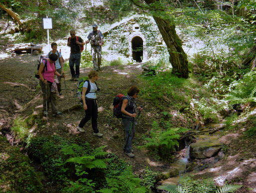 Fonterinalda - Visual