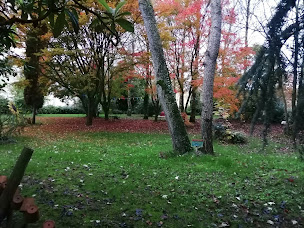 Photo n°18 de An Ti Melen - Gîtes de France à Yvignac-la-Tour (Lodge)