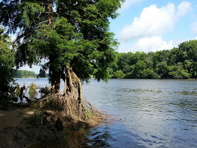 Photos of Torreya State Park
