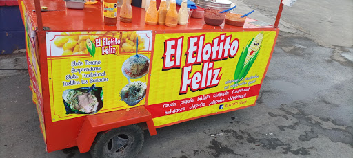 Elotito Feliz - Thumbnail