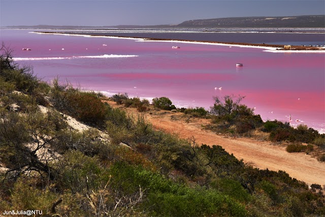 Pink Lake