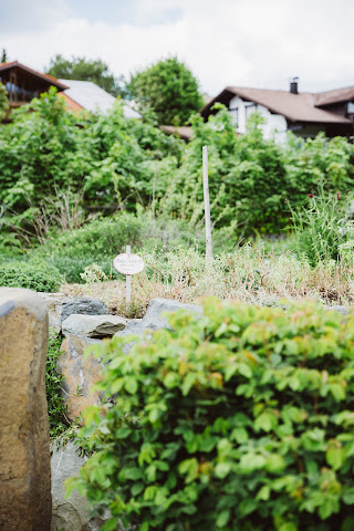 Burghotel Bären by null