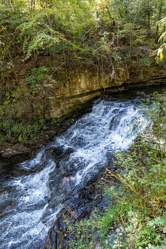 Short Springs Natural Area - Thumbnail