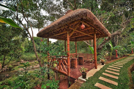 Wild Woods Resort - All