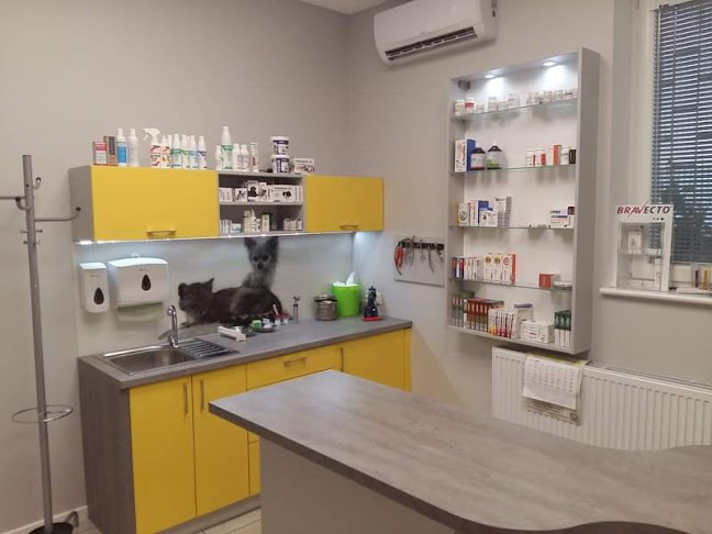 Centrum Zdrowia Małych Zwierząt | Weterynarz Gorzów - Weterynarz