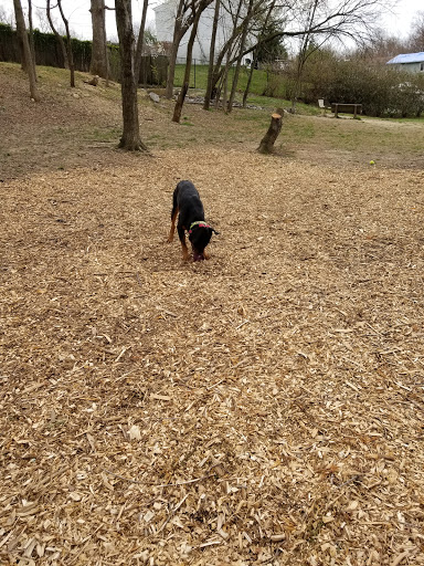 Leo E. Wilson Community Park - Thumbnail