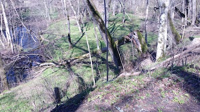 Photos of Keila-Joa park