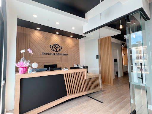 Camellia Dentistry Gallery - United States