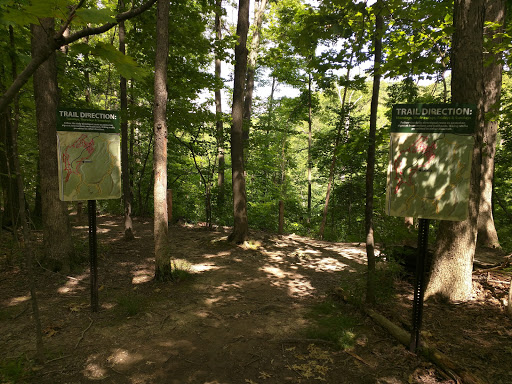 Royalview Mountain Bike Trail (Dessoffy Lot) - Thumbnail