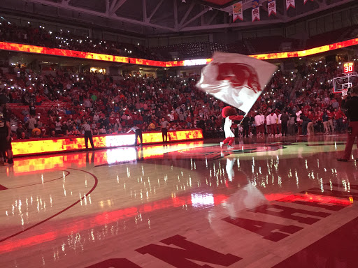 Apex Dental Education