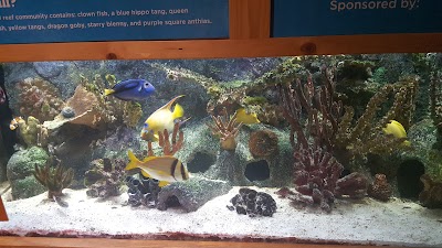 Photos of Boonshoft Museum of Discovery