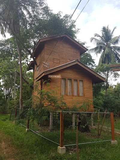 Photos of Wilpattu Tree House Hotel
