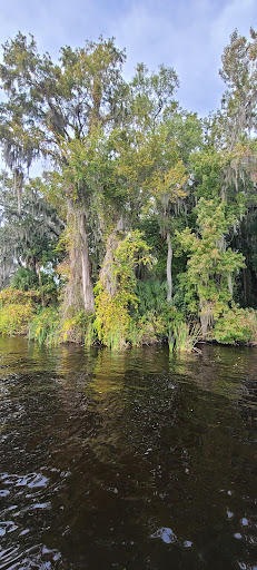 Tanglewylde Nature Park - Thumbnail