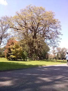 Cementerio Parque Iraola, Author: Rodrigo Ceci