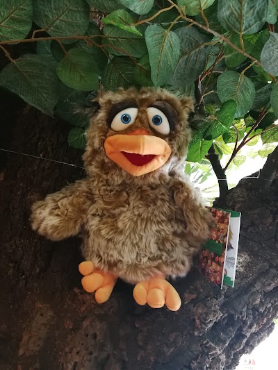 Photos of Kleiner Schlauberger - Fachgesch&auml;ft f&uuml;r Lernspielwaren