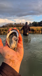 Photo n°13 de La Cabane du Grouin à Loix (Ferme aquacole)