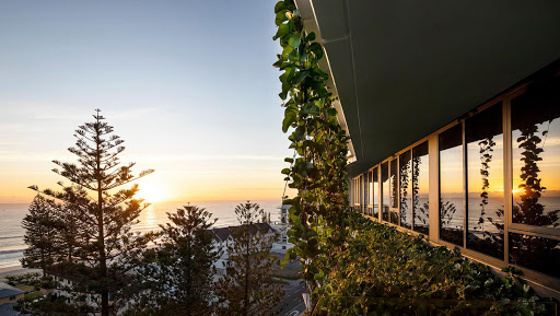 FREELIVING STUDIO - Visual