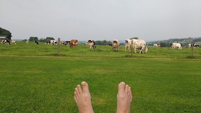Photos of VandenBooren Camping