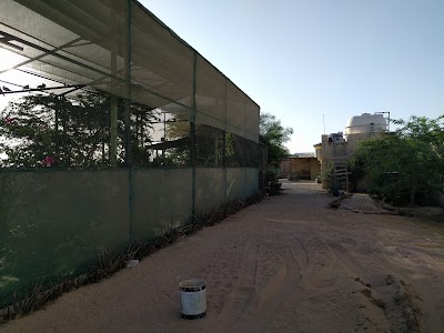 Photos of شالية عوض ادبيس العازمي