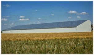 Photo n°13 de AMISUN à Montflours (Service de nettoyage et d'entretien)